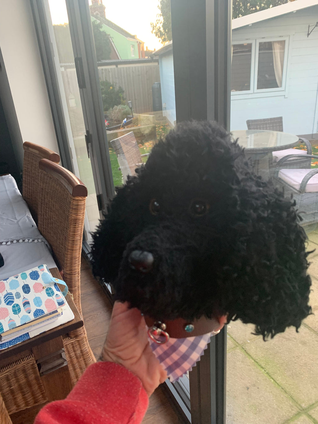 Black Poodle super cute handmade head portrait 8”  super gift for poodle lover  comes gift boxed dog lover unique and well made