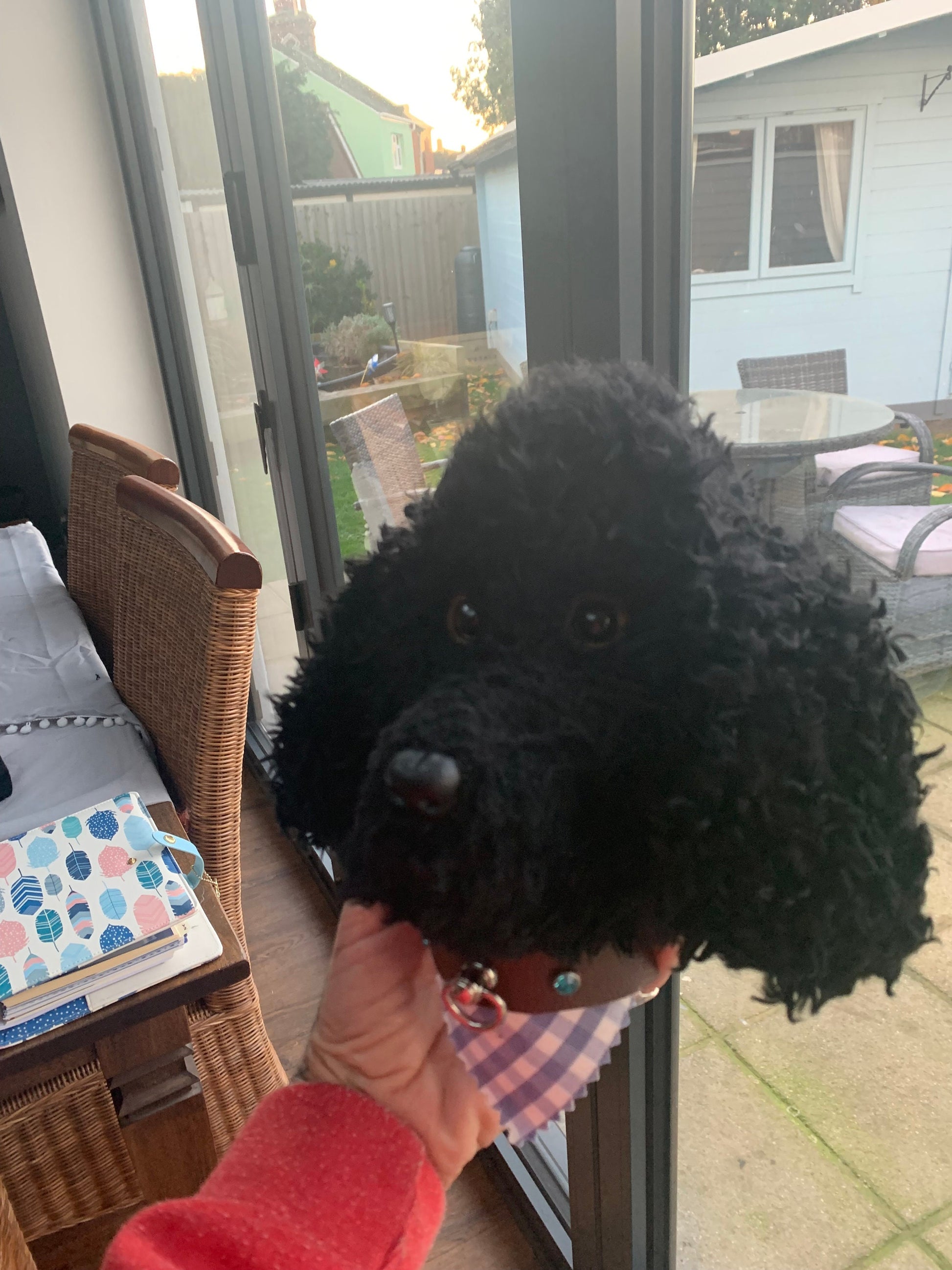 Black Poodle super cute handmade head portrait 8”  super gift for poodle lover  comes gift boxed dog lover unique and well made