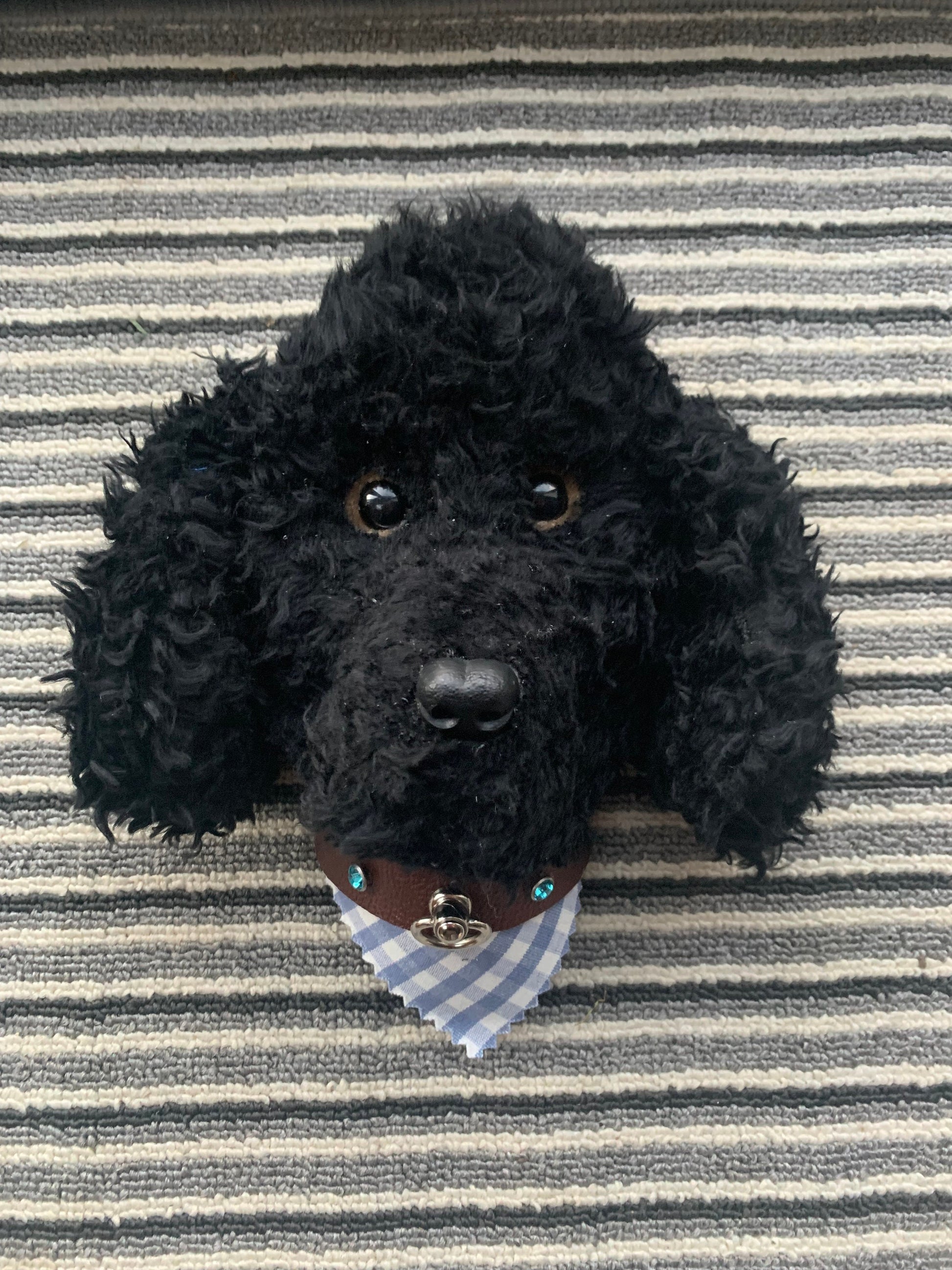 Black Poodle super cute handmade head portrait 8”  super gift for poodle lover  comes gift boxed dog lover unique and well made