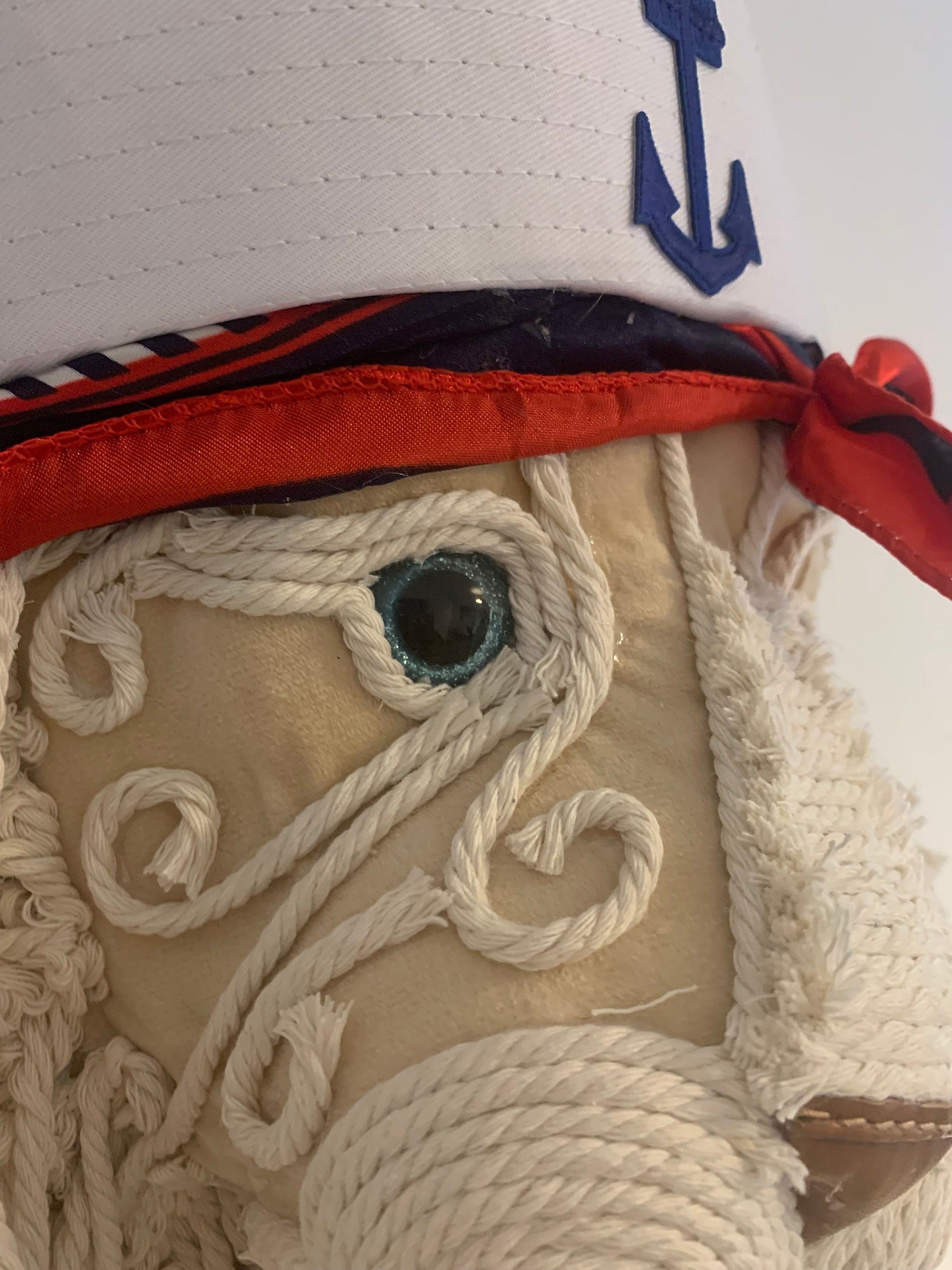 Sailor Sam Lion head Nautical handmade animal head Great Gift wall Picture Faux  taxidermy