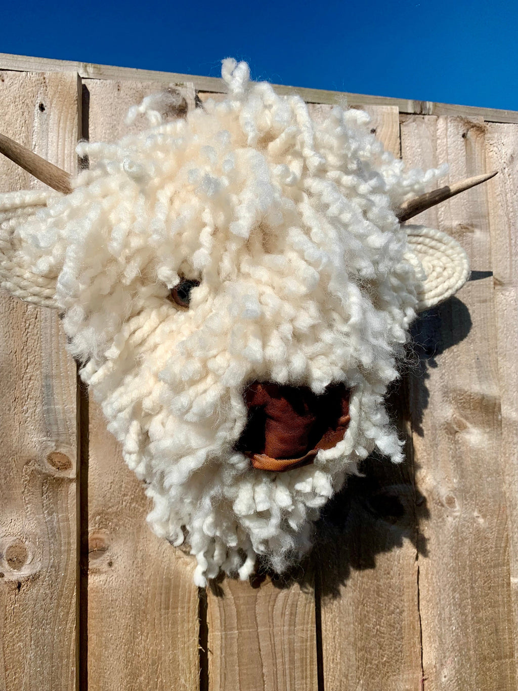 Baby Highland Cow  Leather nose  Bull Head, carved  Horns faux natural sheep wool Easy to hang STUNNING Better in real life