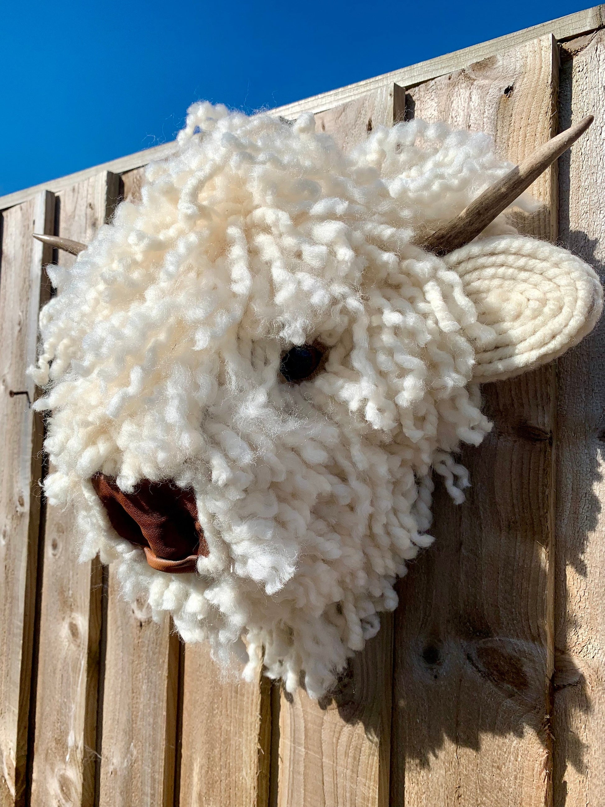 Baby Highland Cow  Leather nose  Bull Head, carved  Horns faux natural sheep wool Easy to hang STUNNING Better in real life