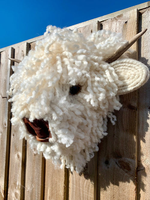 Baby Highland Cow  Leather nose  Bull Head, carved  Horns faux natural sheep wool Easy to hang STUNNING Better in real life