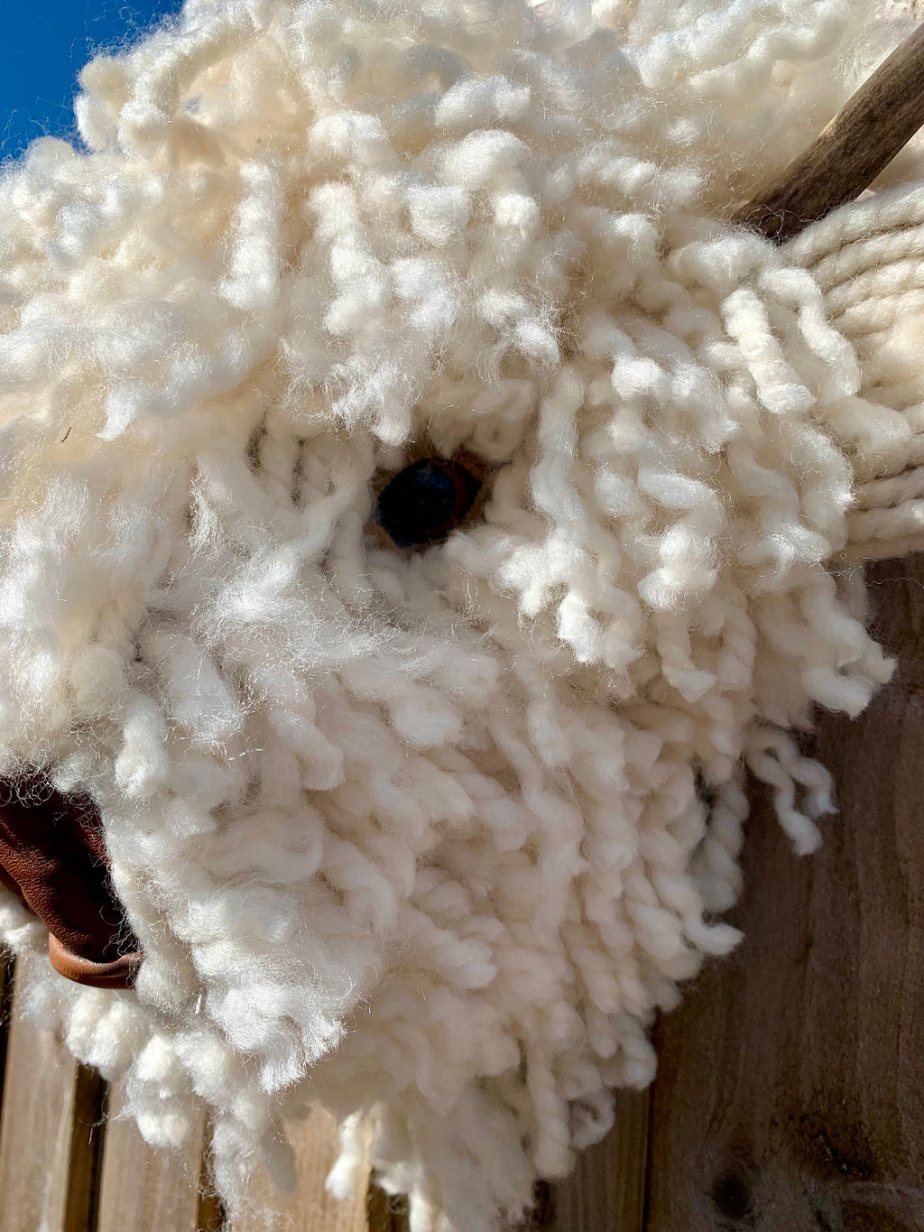 Baby Highland Cow  Leather nose  Bull Head, carved  Horns faux natural sheep wool Easy to hang STUNNING Better in real life