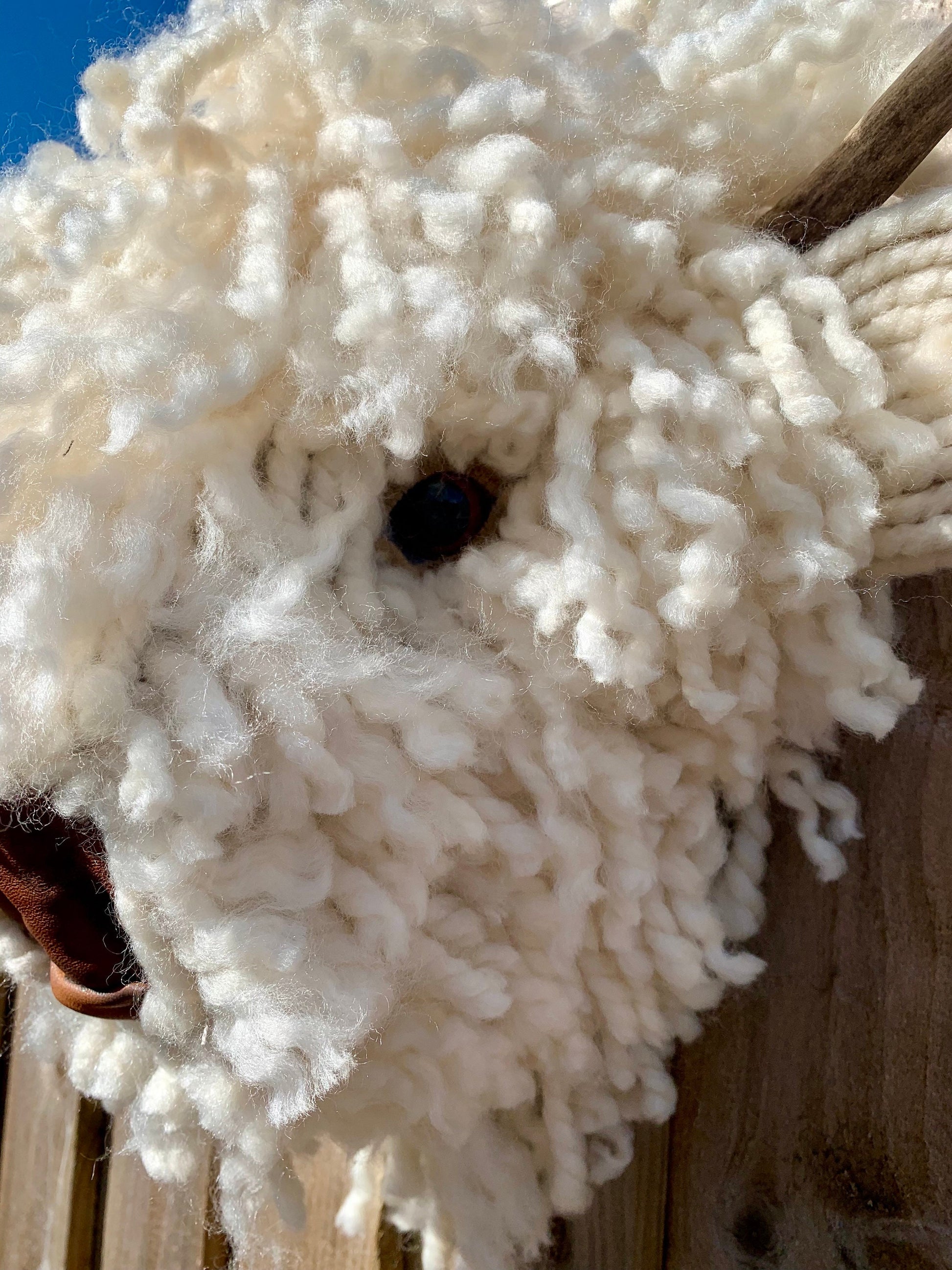Baby Highland Cow  Leather nose  Bull Head, carved  Horns faux natural sheep wool Easy to hang STUNNING Better in real life