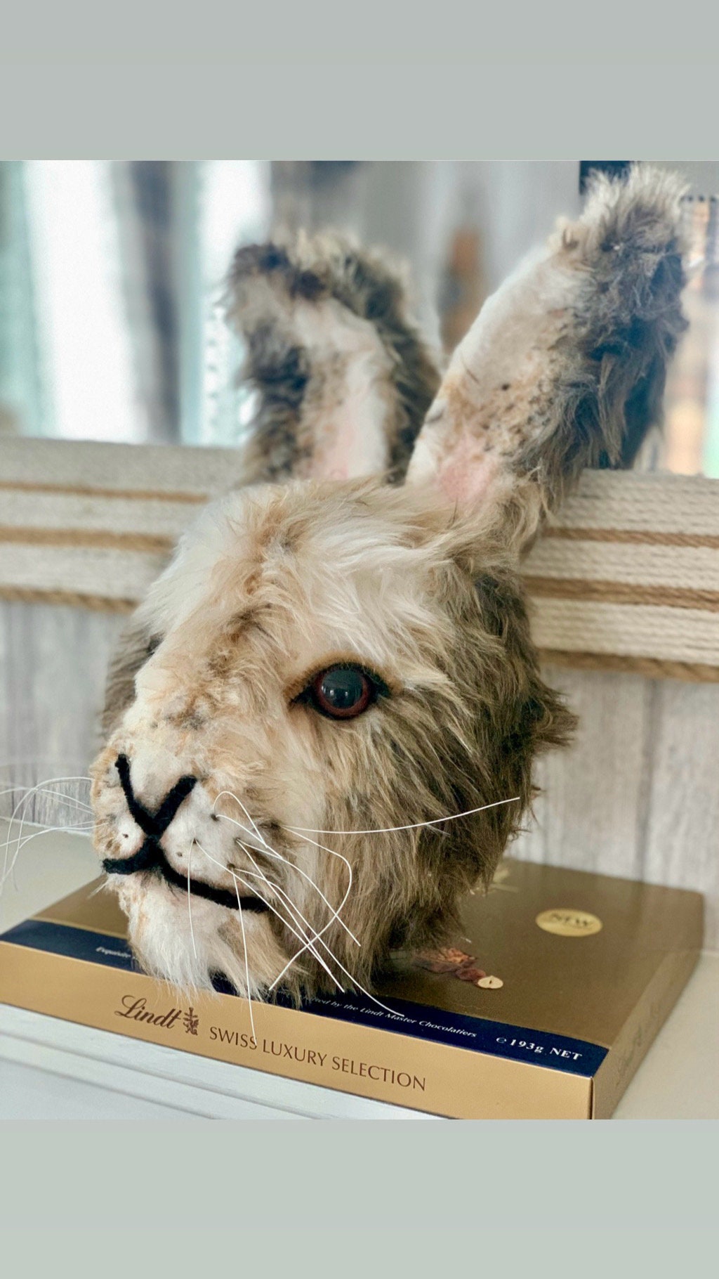 Hare Mr Arctic bunny furry face large eyes, snowy animal  GORGEOUS rabbit bespoke animal head handmade birthday