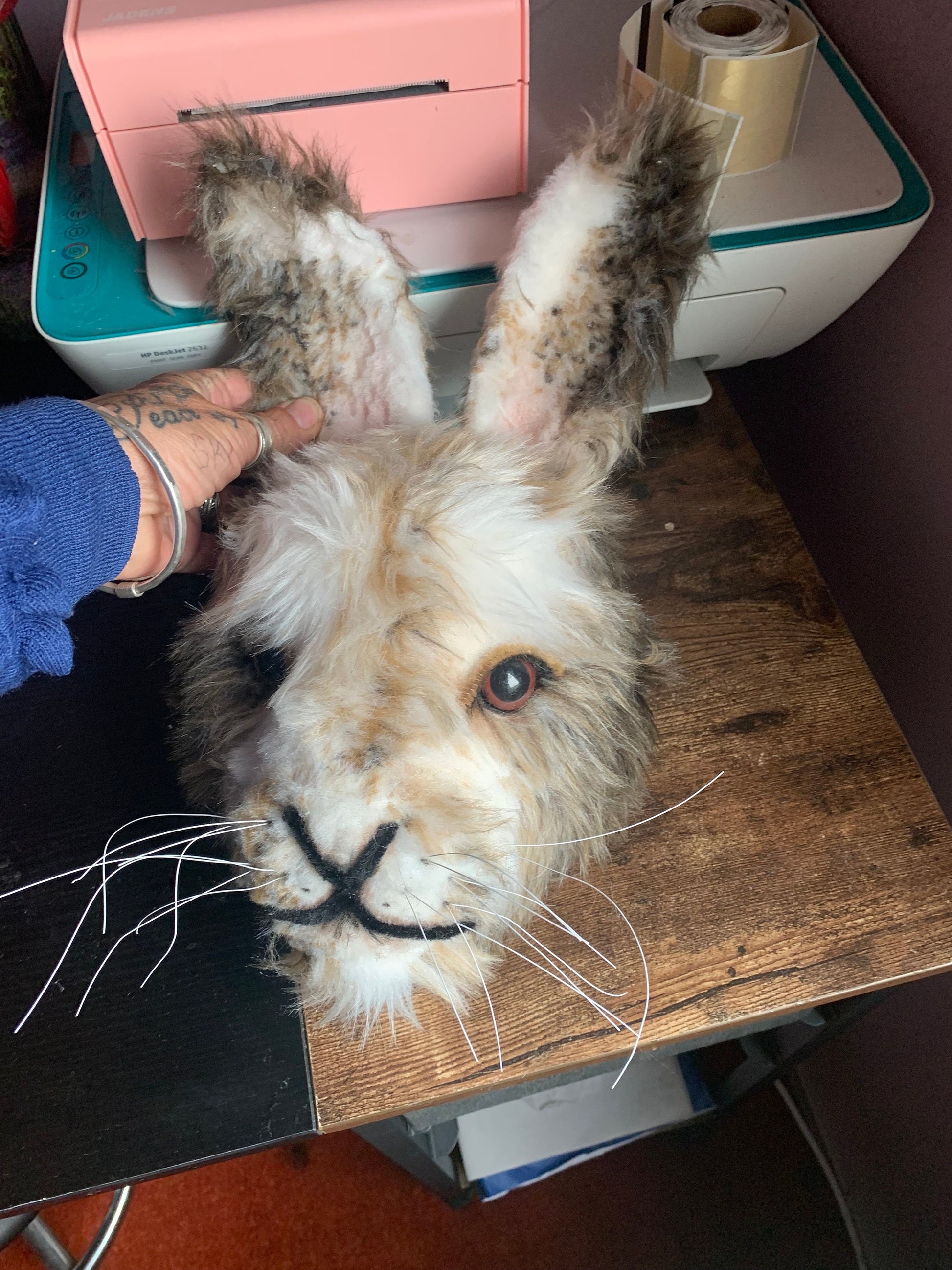 Hare Mr Arctic bunny furry face large eyes, snowy animal  GORGEOUS rabbit bespoke animal head handmade birthday