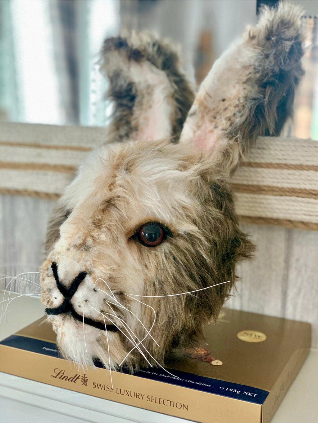 Hare Mr Arctic bunny furry face large eyes, snowy animal  GORGEOUS rabbit bespoke animal head handmade birthday