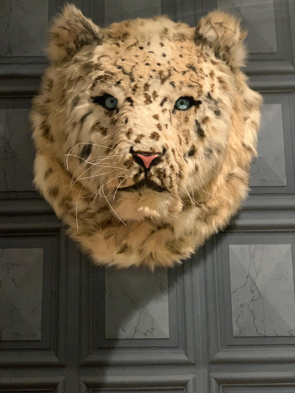 Snow leopard Handmade with beautiful faux high quality fur, realistic handmade eyes he’s 2ft x 2ft wall art faux taxidermy