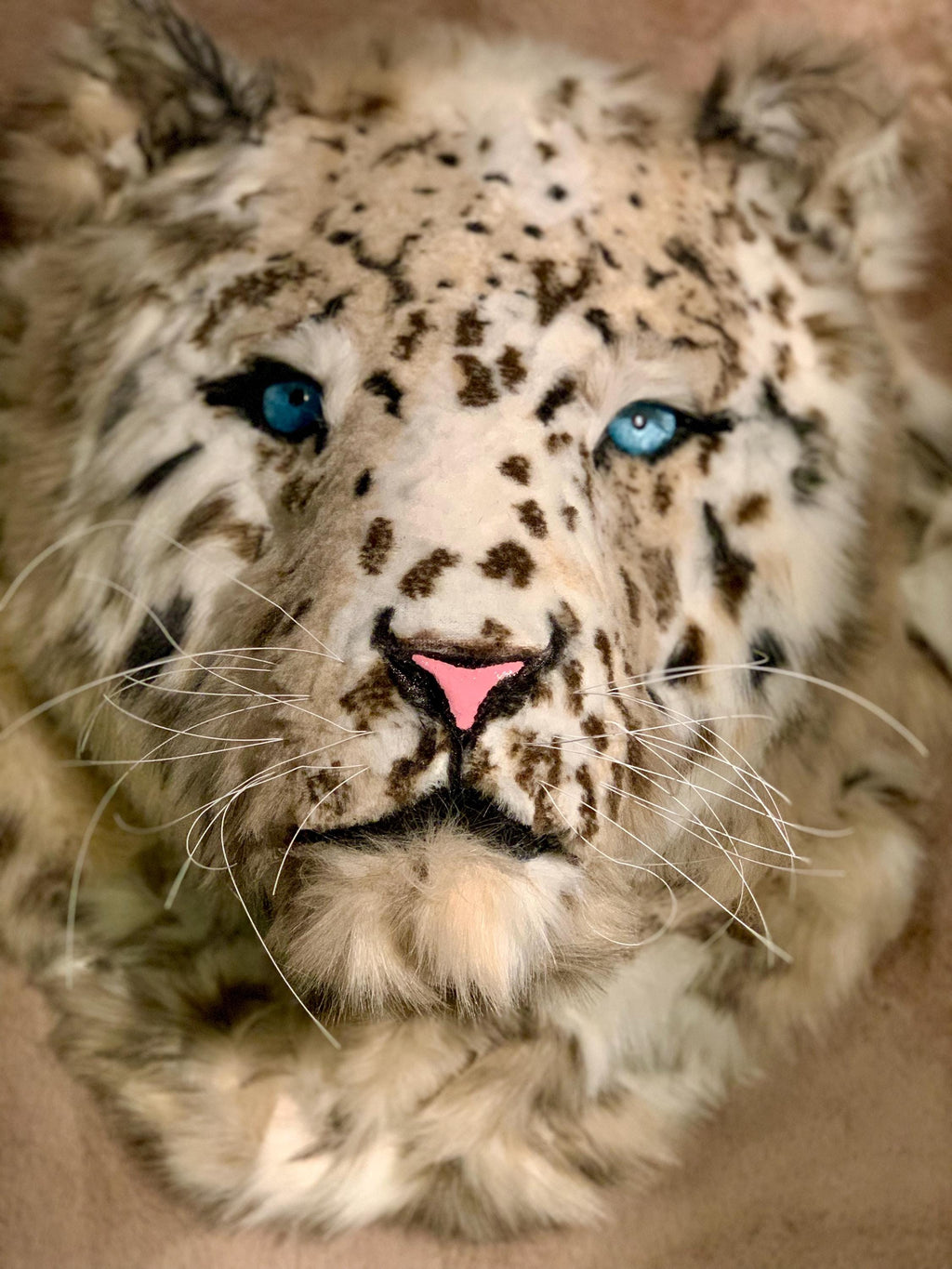 Snow leopard Handmade with beautiful faux high quality fur, realistic handmade eyes he’s 2ft x 2ft wall art faux taxidermy