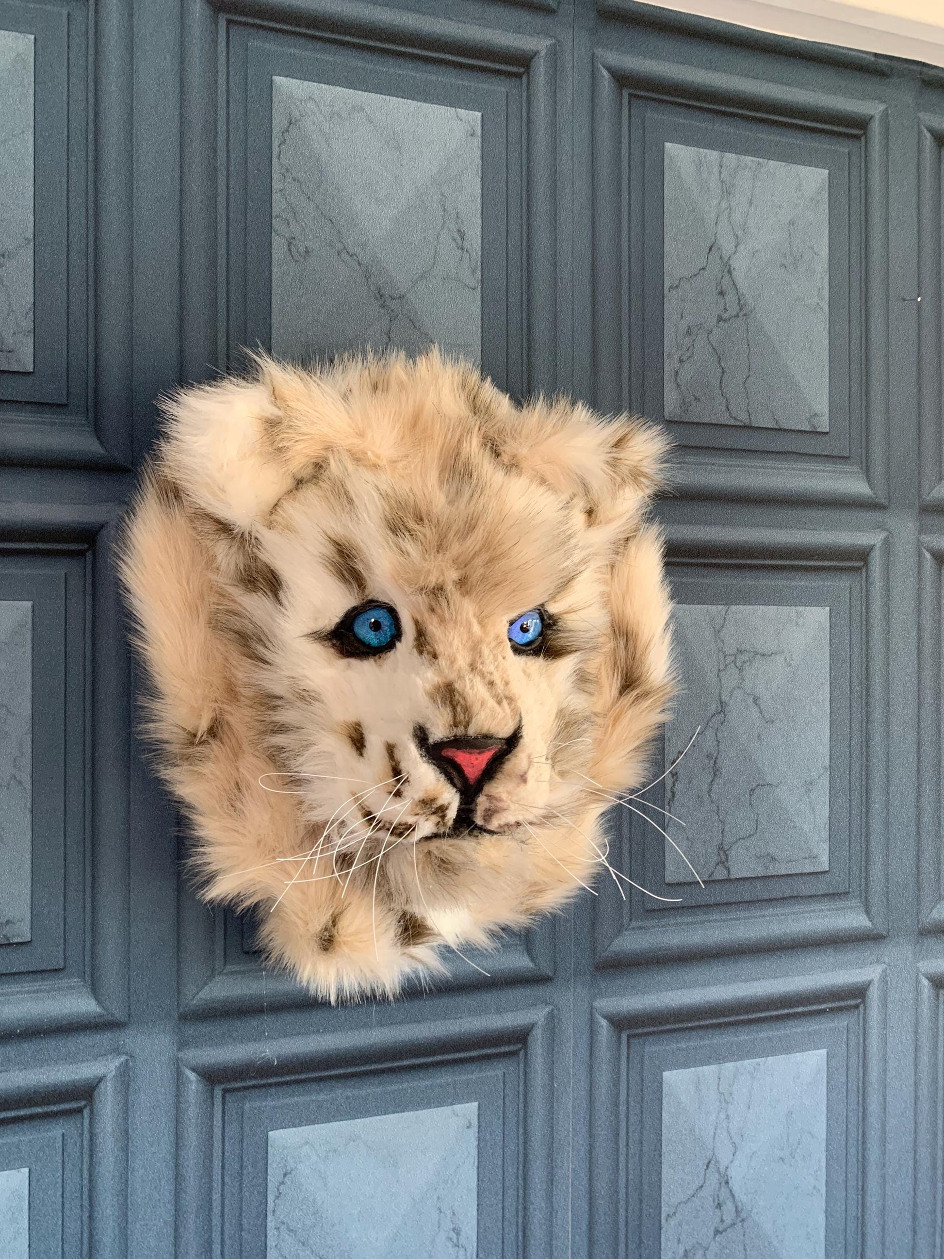 Baby snow leopard cub, super cute with faux luxury fur 13” x 13”  realistic eyes