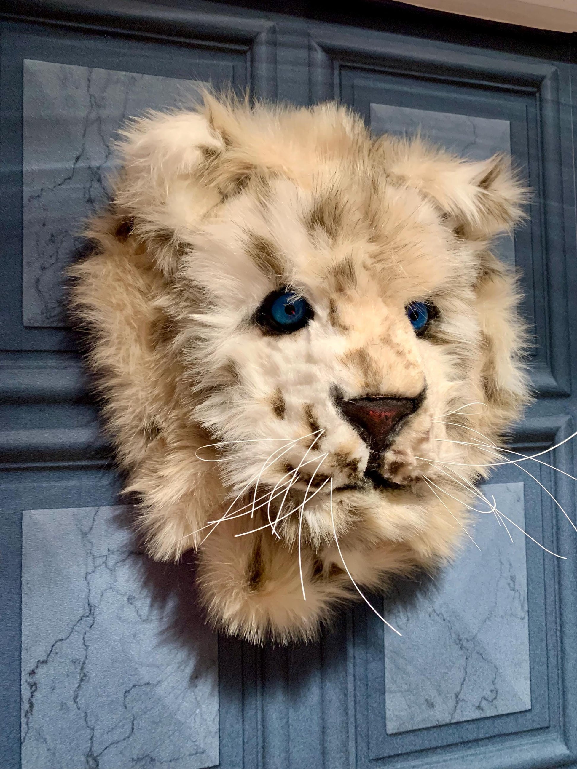 Baby snow leopard cub, super cute with faux luxury fur 13” x 13”  realistic eyes