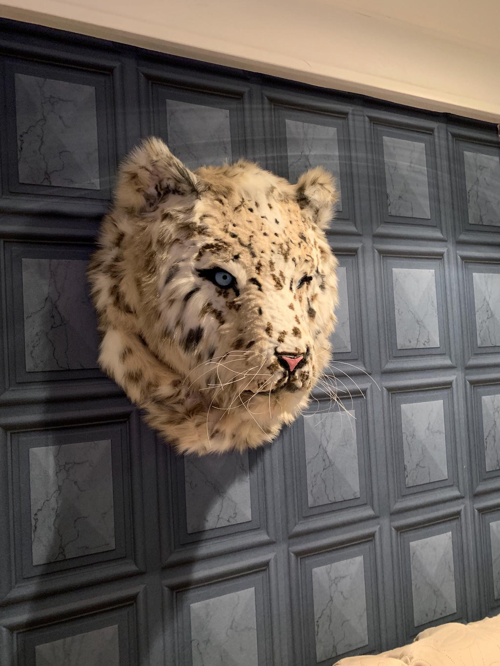 Snow leopard Handmade with beautiful faux high quality fur, realistic handmade eyes he’s 2ft x 2ft wall art faux taxidermy